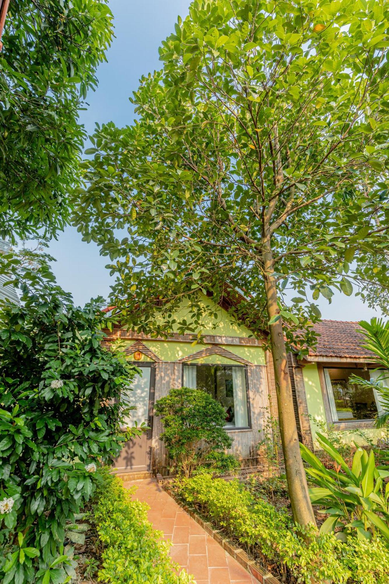 Tam Coc Green Garden Bungalow Νιν Μπιν Εξωτερικό φωτογραφία