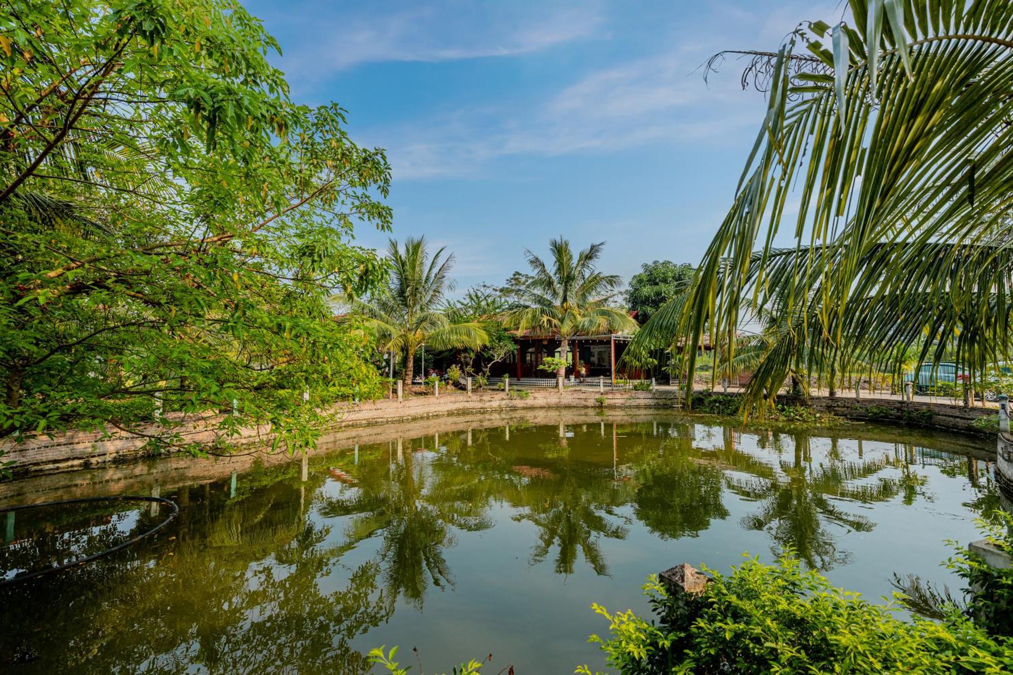 Tam Coc Green Garden Bungalow Νιν Μπιν Εξωτερικό φωτογραφία