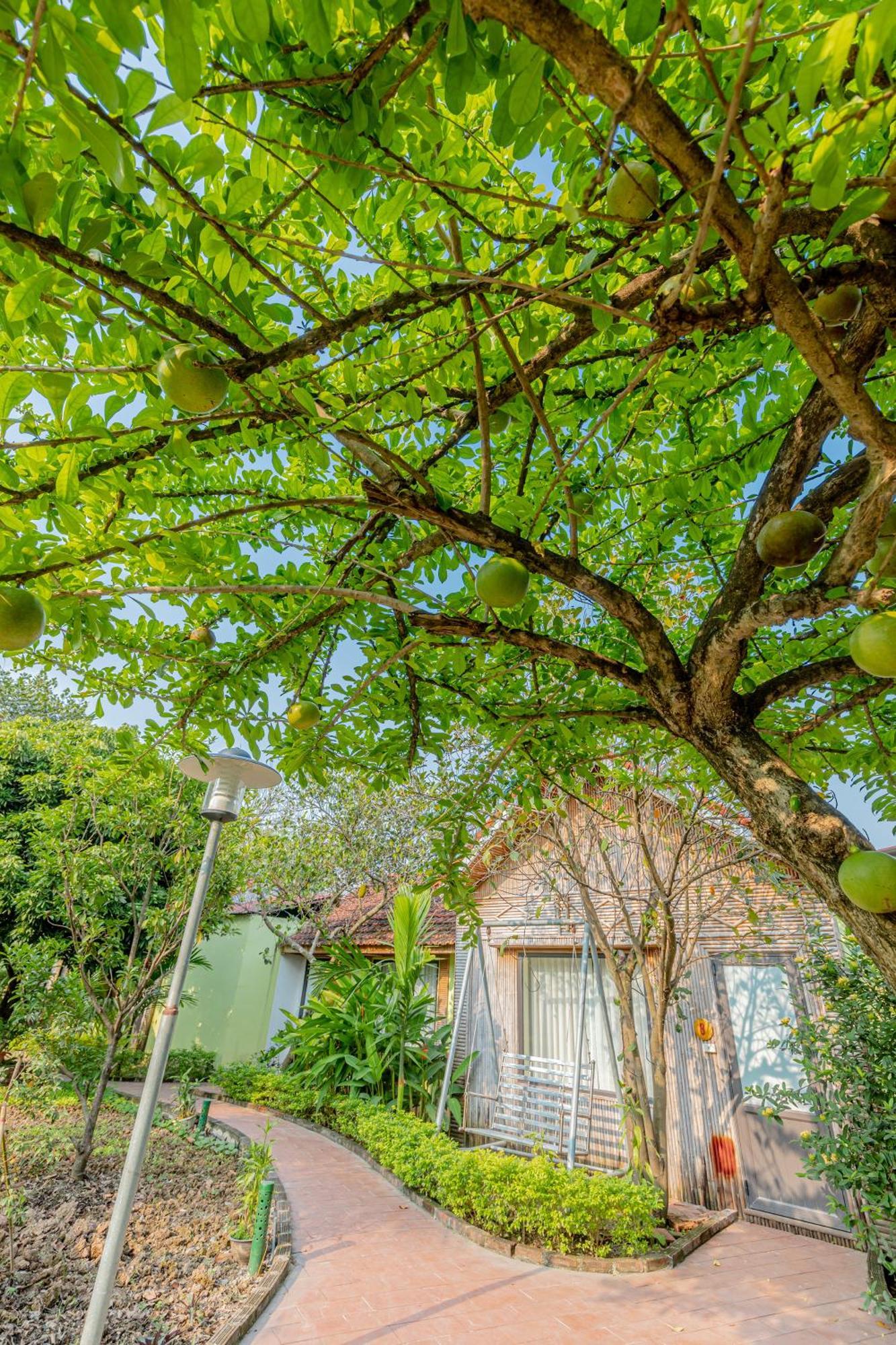 Tam Coc Green Garden Bungalow Νιν Μπιν Εξωτερικό φωτογραφία